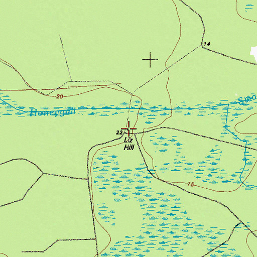 Topographic Map of Liz Hill, GA