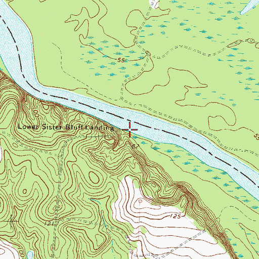 Topographic Map of Lower Sister Bluff Landing, GA