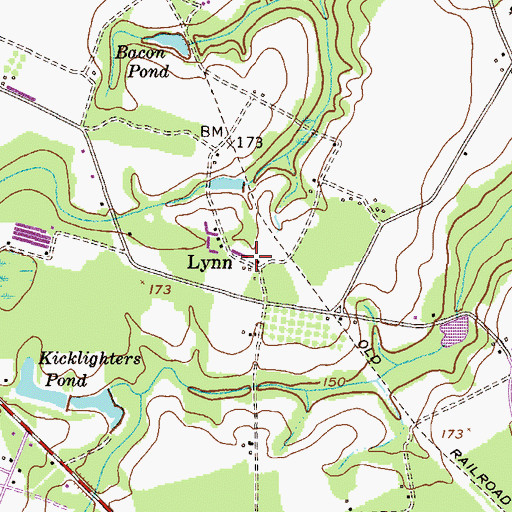 Topographic Map of Lynn, GA