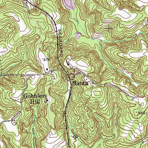 Topographic Map of Manta, GA