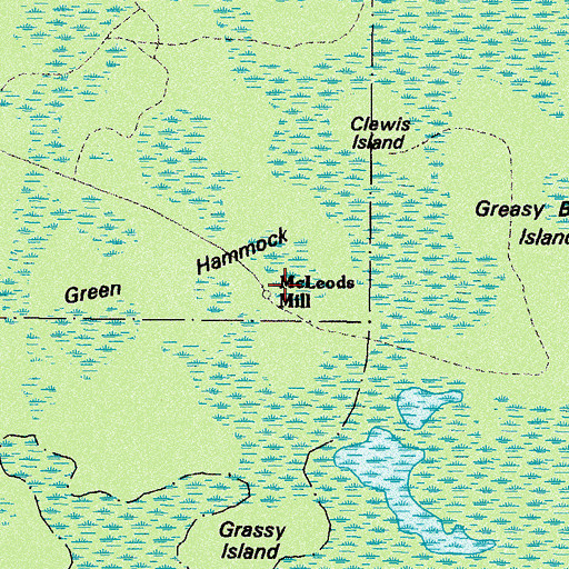 Topographic Map of McLeods Mill, GA