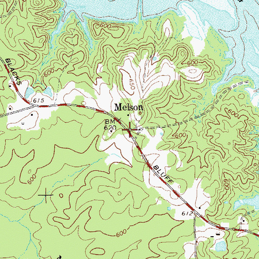 Topographic Map of Melson, GA