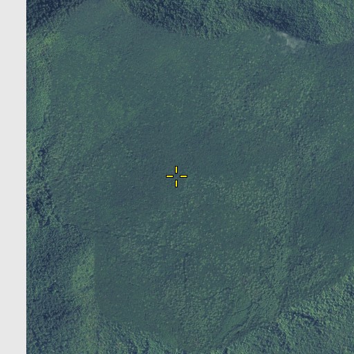 Aerial/Satellite Image of Middle Bald, GA