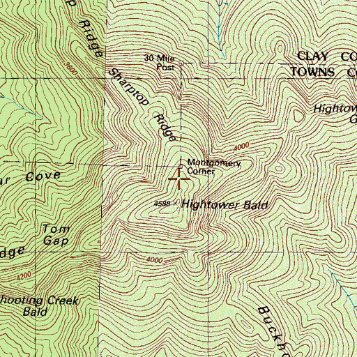 Topographic Map of Montgomery Corner, GA