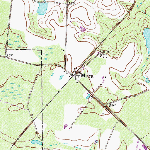 Topographic Map of Mora, GA