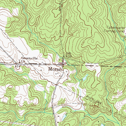 Topographic Map of Moran, GA