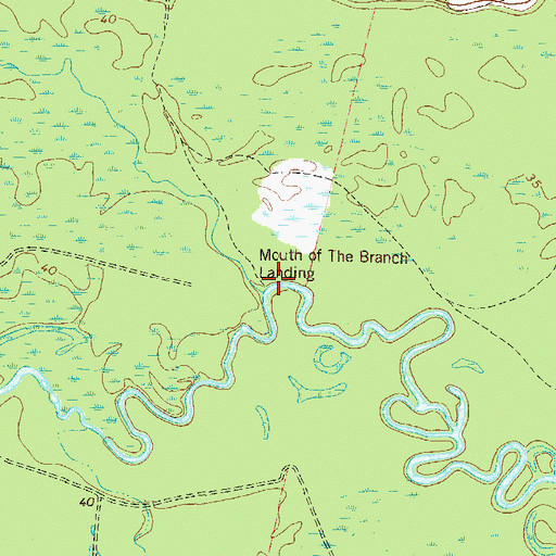 Topographic Map of Mouth of the Branch Landing, GA