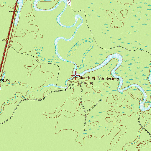 Topographic Map of Mouth of the Swamp Landing, GA