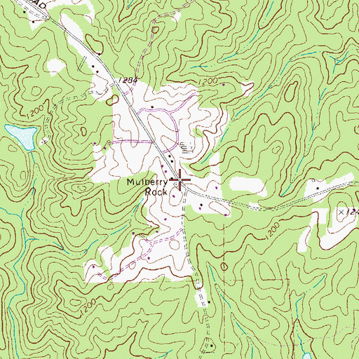 Topographic Map of Mulberry Rock, GA