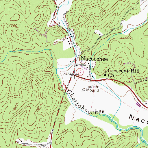 Topographic Map of Nacoochee, GA