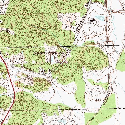 Topographic Map of Nance Springs, GA