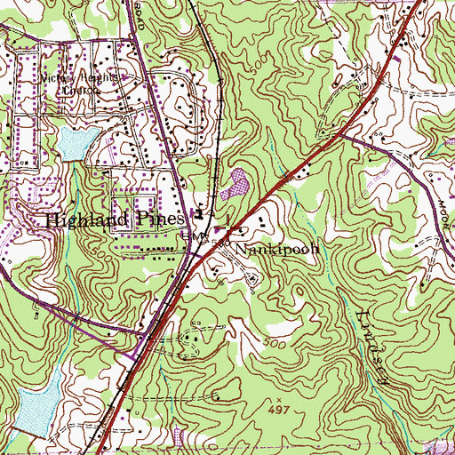 Topographic Map of Nankipooh, GA