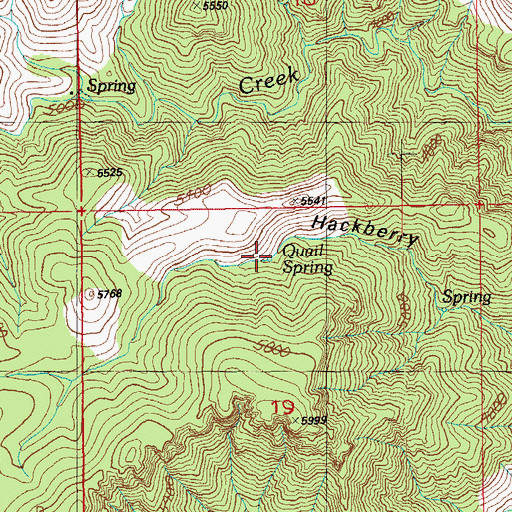 Topographic Map of Quail Spring, AZ