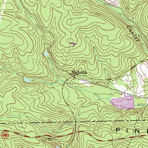 Topographic Map of Nebula, GA