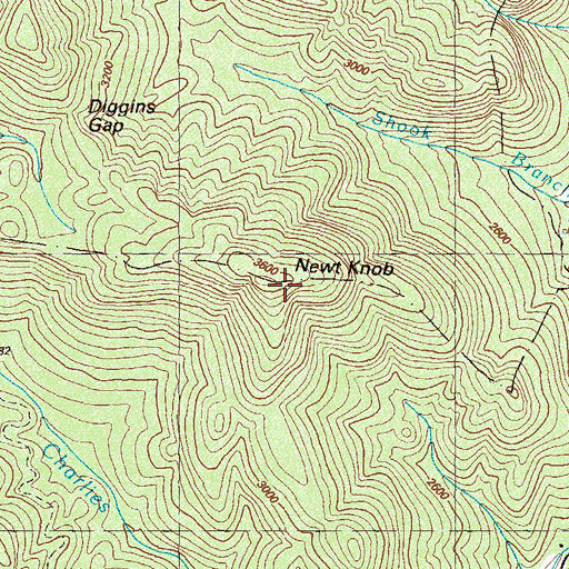 Topographic Map of Newt Knob, GA
