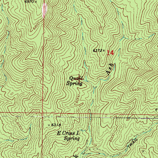 Topographic Map of Quail Spring, AZ