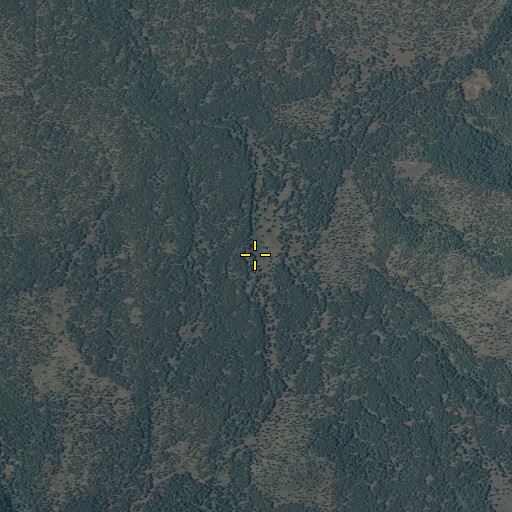 Aerial/Satellite Image of Quakie Patch Spring, AZ