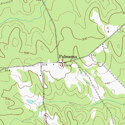 Topographic Map of Palmetto, GA
