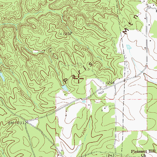 Topographic Map of Paris Mountain, GA