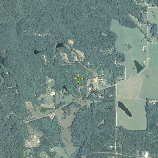 Aerial/Satellite Image of Paris Mountain, GA