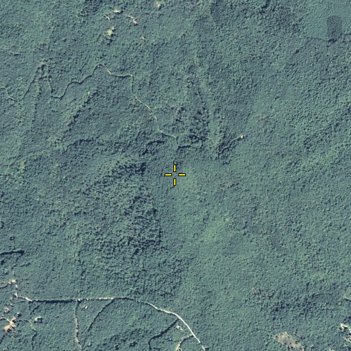 Aerial/Satellite Image of Peter Knob, GA