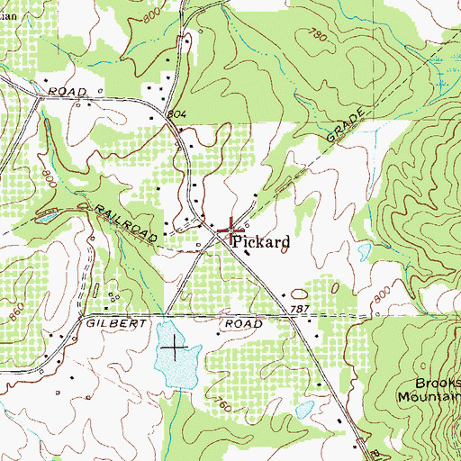 Topographic Map of Pickard, GA