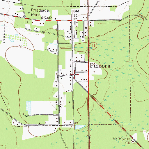 Topographic Map of Pineora, GA