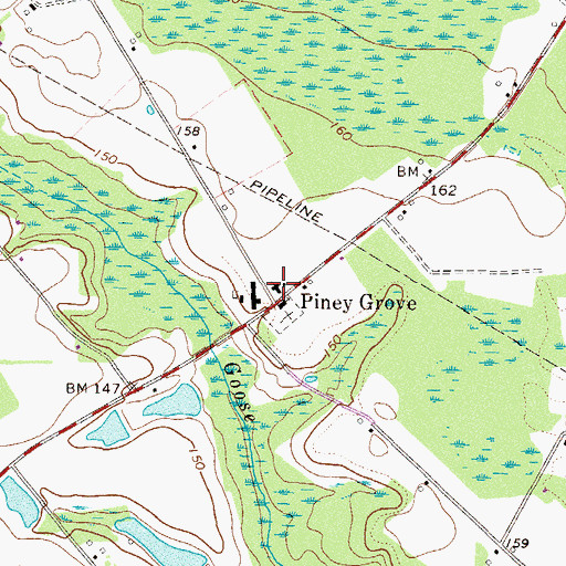 Topographic Map of Piney Grove, GA