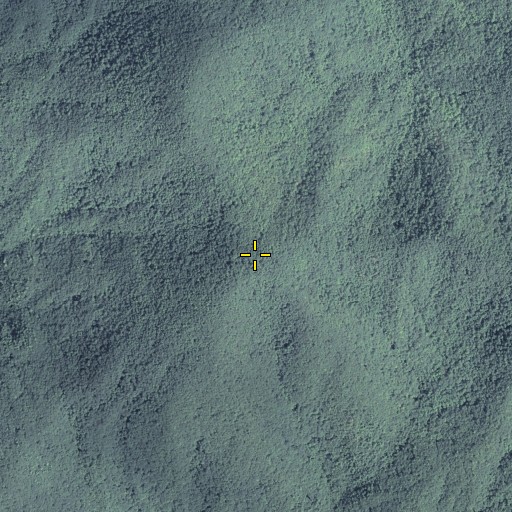 Aerial/Satellite Image of Pink Knob, GA
