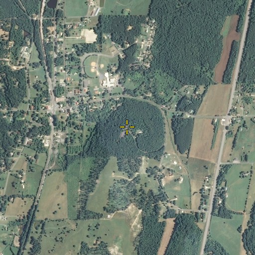 Aerial/Satellite Image of Pitner Hill, GA