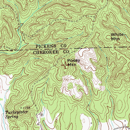 Topographic Map of Posey Mountain, GA