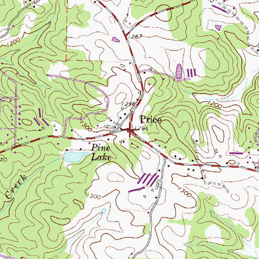 Topographic Map of Price, GA