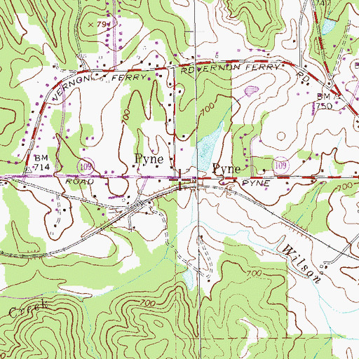 Topographic Map of Pyne, GA