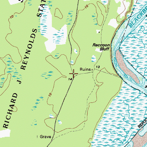 Topographic Map of Raccoon Bluff, GA