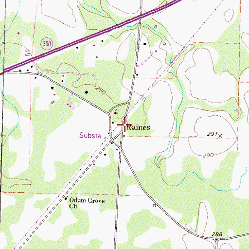 Topographic Map of Raines, GA