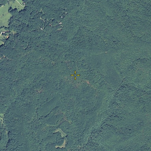Aerial/Satellite Image of Raper Mountain, GA