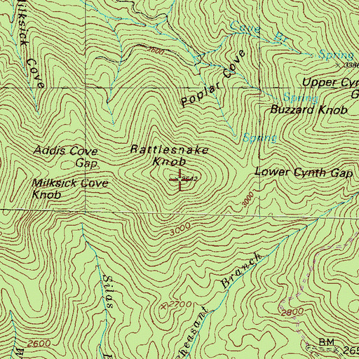 Topographic Map of Rattlesnake Knob, GA