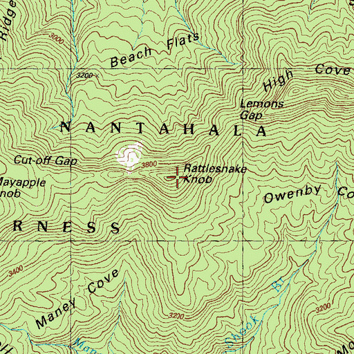 Topographic Map of Rattlesnake Knob, GA