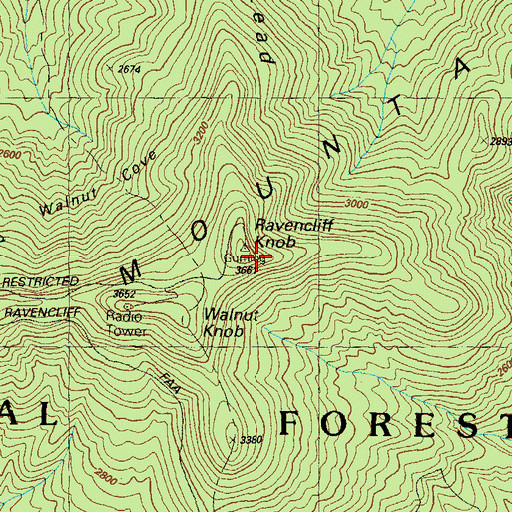 Topographic Map of Ravencliff Knob, GA