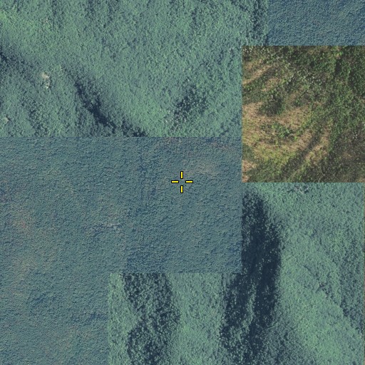 Aerial/Satellite Image of Redside Mountain, GA