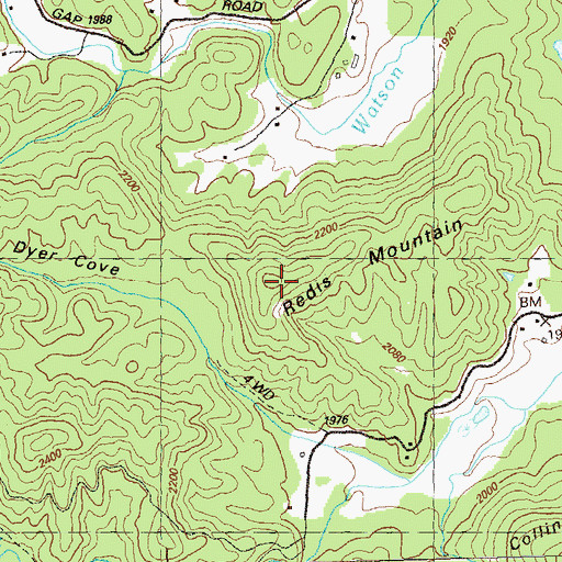 Topographic Map of Redis Mountain, GA