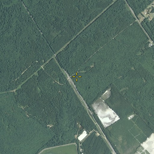 Aerial/Satellite Image of Reids, GA
