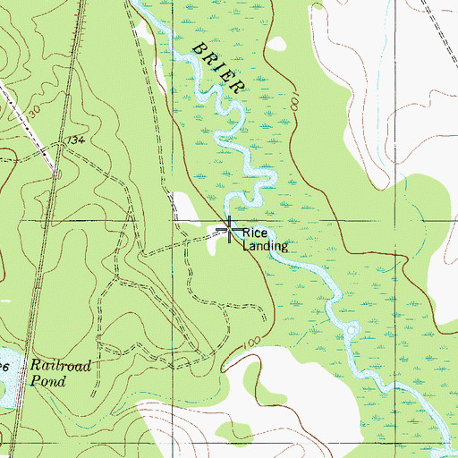 Topographic Map of Rice Landing, GA