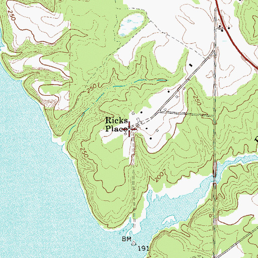 Topographic Map of Ricks Place, GA