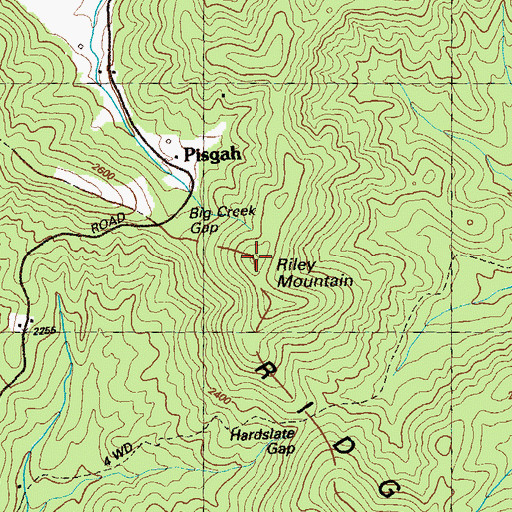 Topographic Map of Riley Mountain, GA