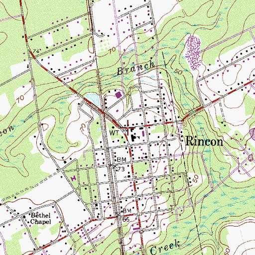 Topographic Map of Rincon, GA