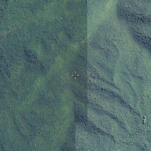 Aerial/Satellite Image of Rocky Mountain, GA