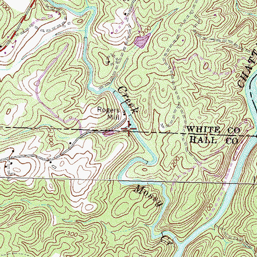 Topographic Map of Rogers Mill, GA