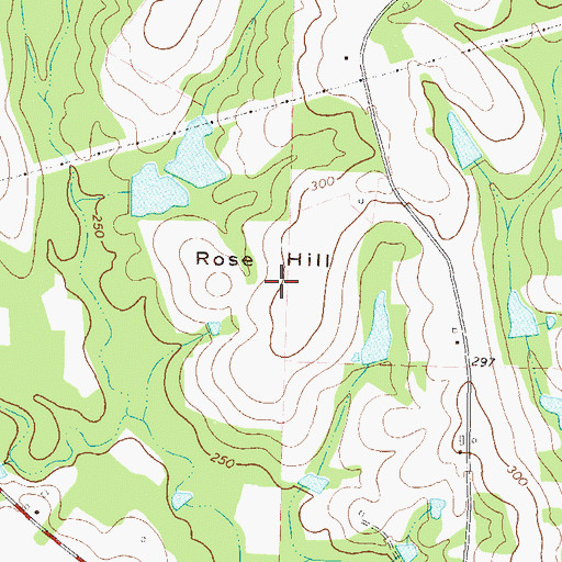 Topographic Map of Rose Hill, GA
