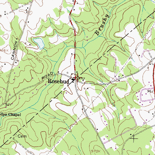 Topographic Map of Rosebud, GA